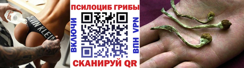 Псилоцибиновые грибы прущие грибы где продают Острогожск